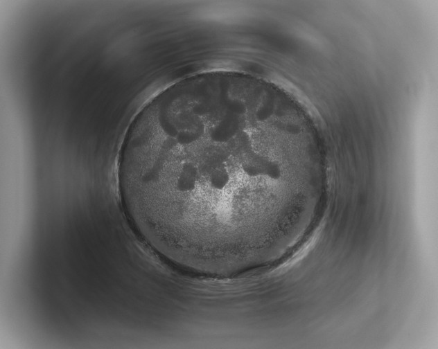 X0000102301121200807251429