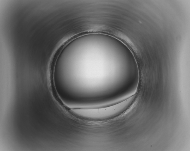 X0000102301122200807251429