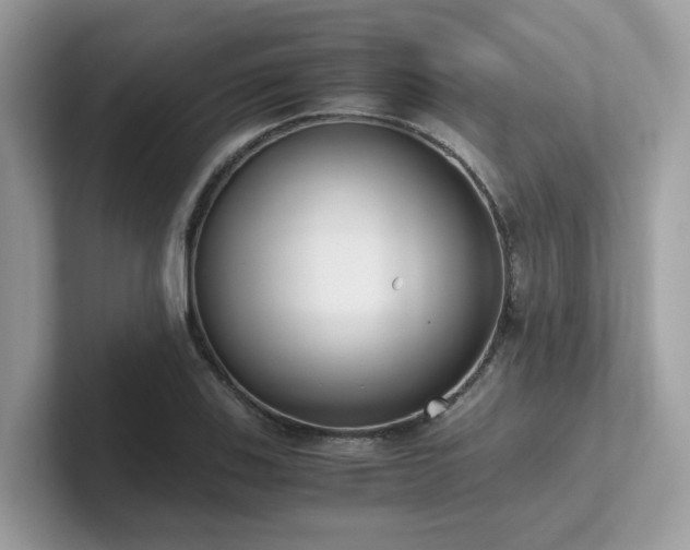 X0000102301123200807251429