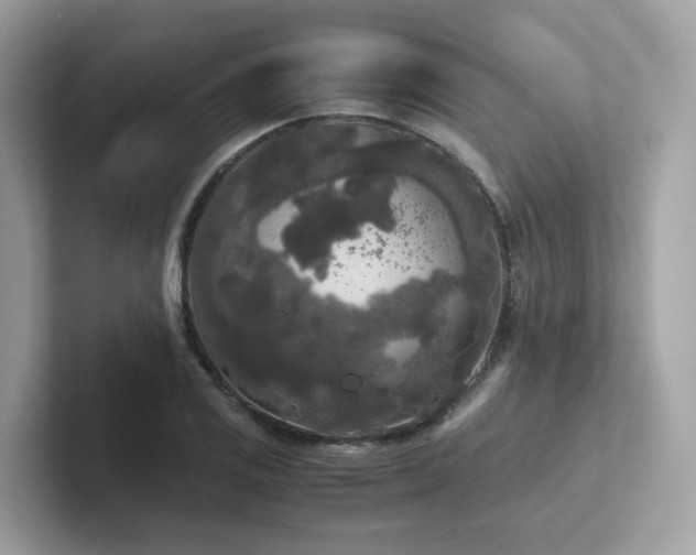 X0000102301125200807251429