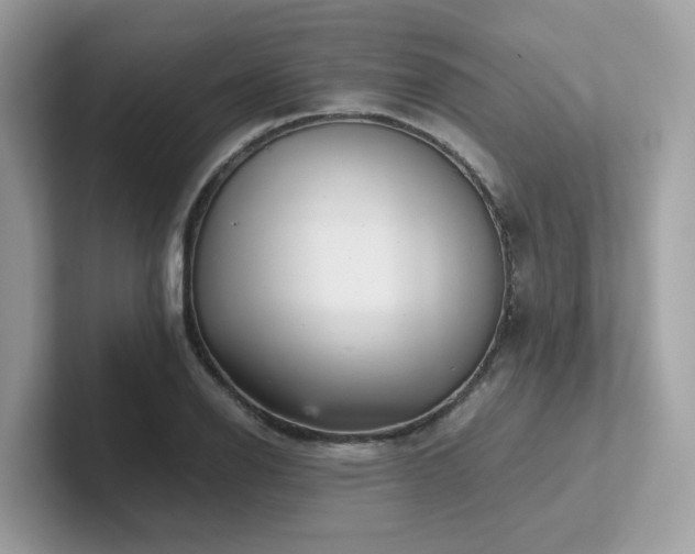 X0000102301126200807251429