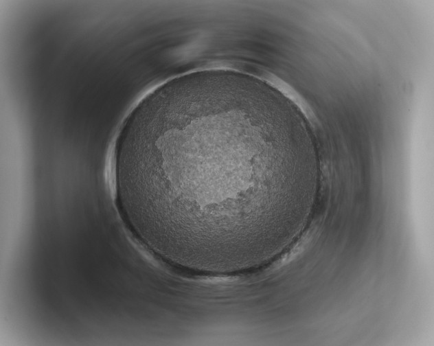 X0000102301127200807251429