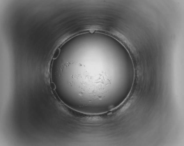 X0000102301129200807251430