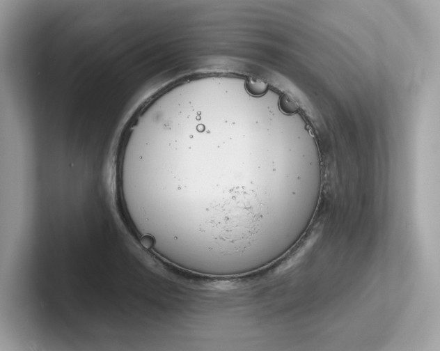 X0000102301130200807251430