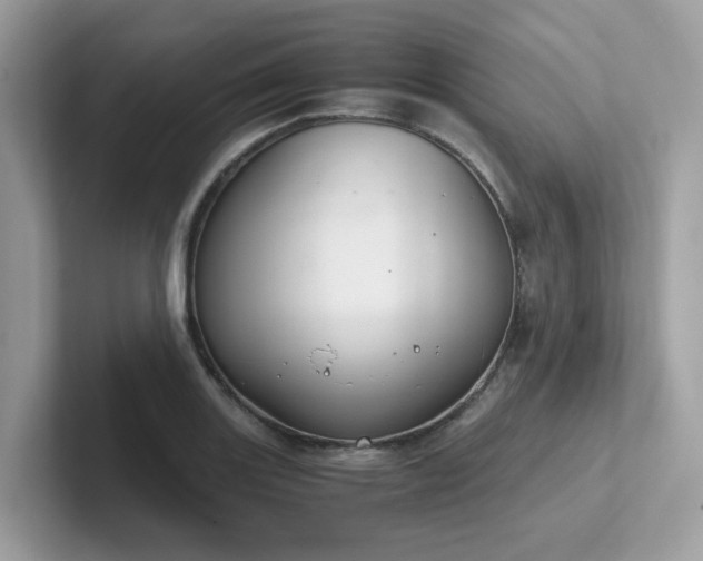X0000102301131200807251430