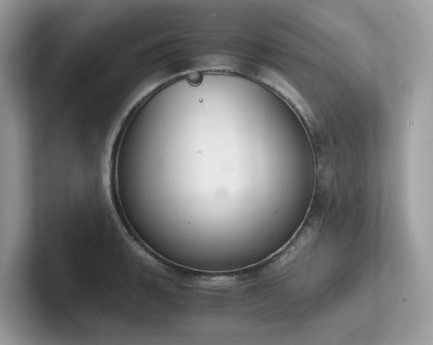 X0000102301135200807251430