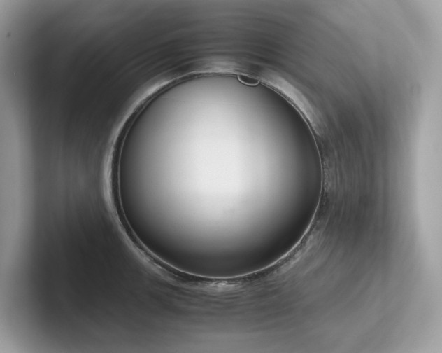 X0000102301139200807251430