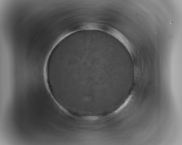 X0000102301141200807251430