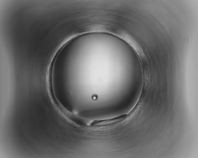 X0000102301142200807251430