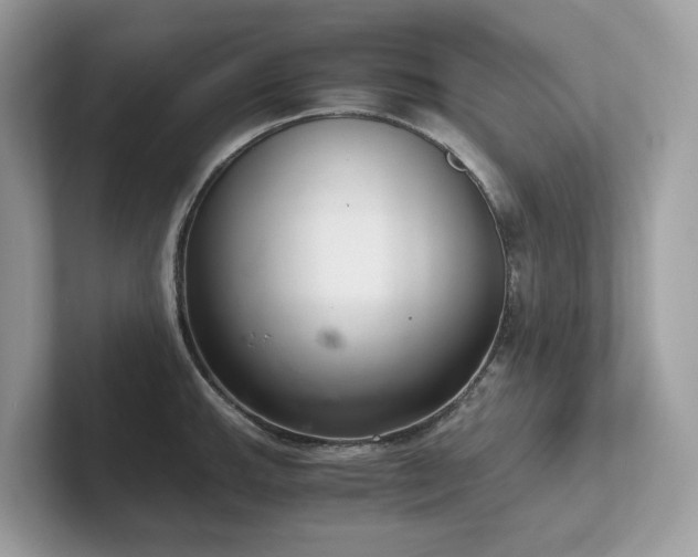 X0000102301143200807251430
