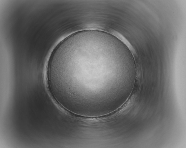 X0000102301144200807251430