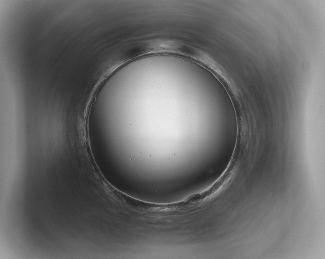 X0000102301145200807251430