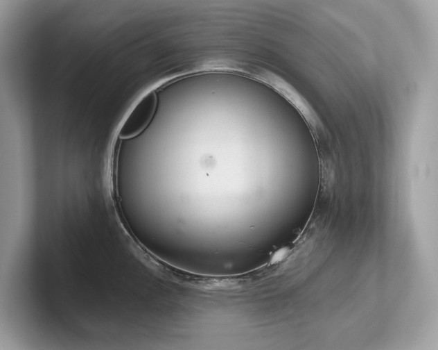 X0000102301148200807251430