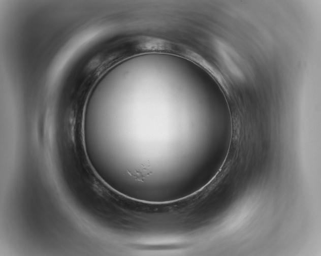 X0000102301151200807251430