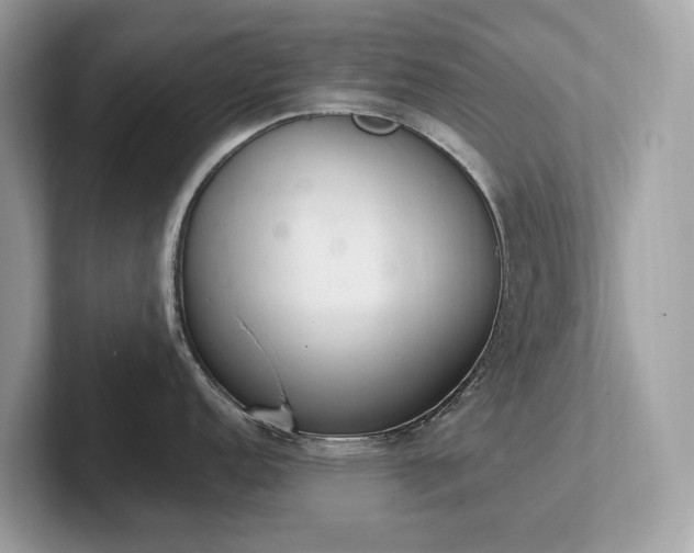 X0000102301152200807251430