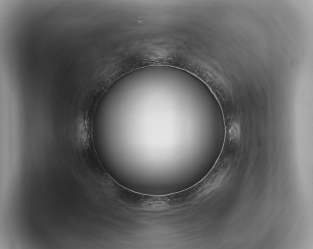 X0000102301156200807251429