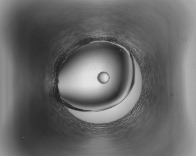 X0000102301157200807251429