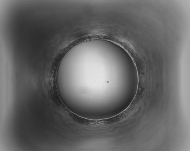 X0000102301159200807251429