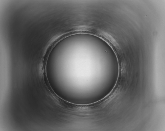 X0000102301164200807251429