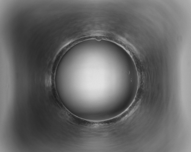 X0000102301166200807251429