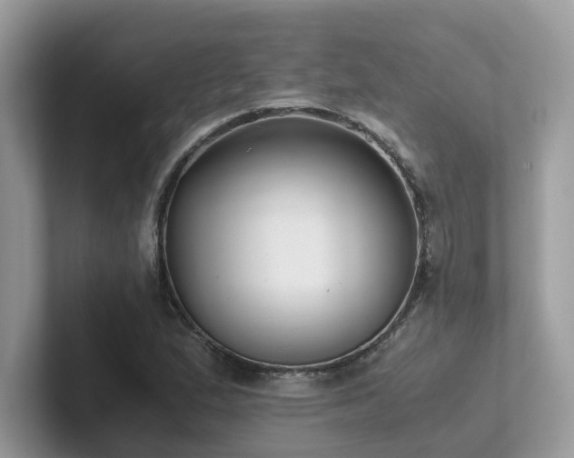 X0000102301167200807251429