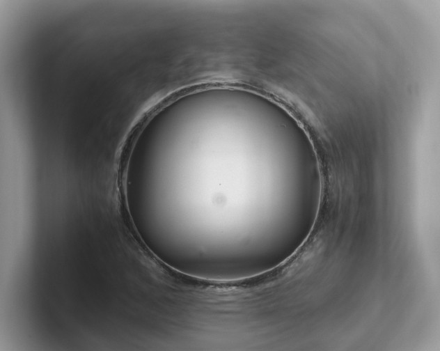 X0000102301168200807251429
