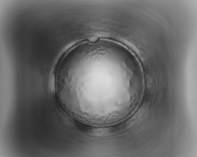 X0000102301171200807251429