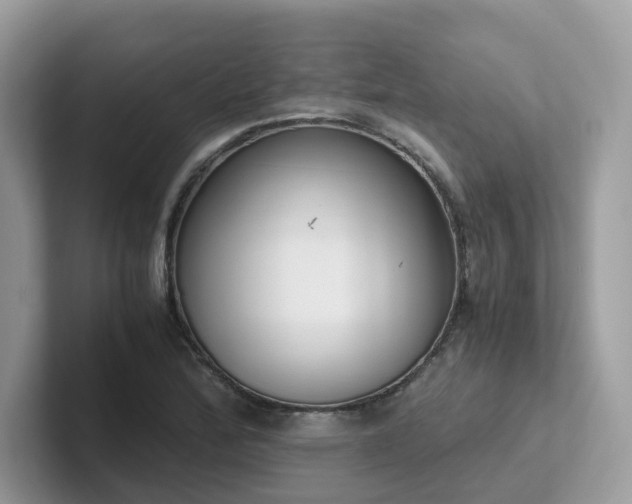 X0000102301172200807251429