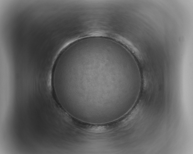 X0000102301174200807251429