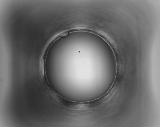 X0000102301175200807251429