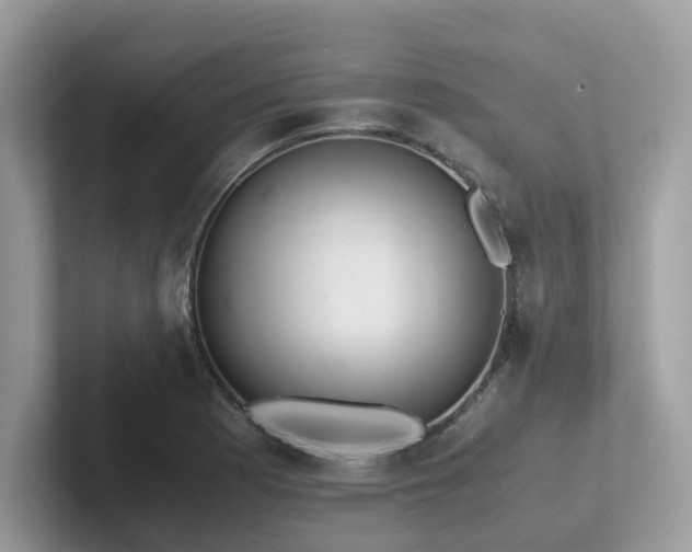 X0000102301177200807251429