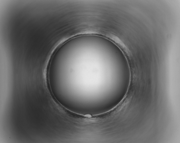 X0000102301181200807251429