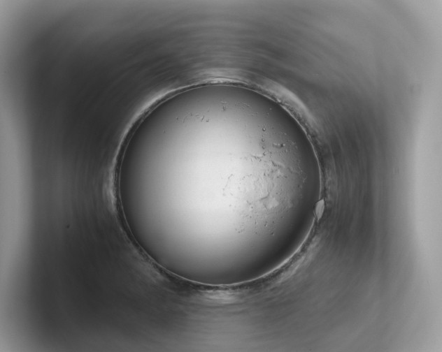 X0000102301182200807251429