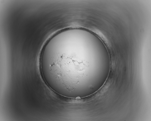 X0000102301183200807251429