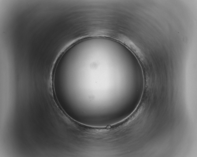 X0000102301184200807251429