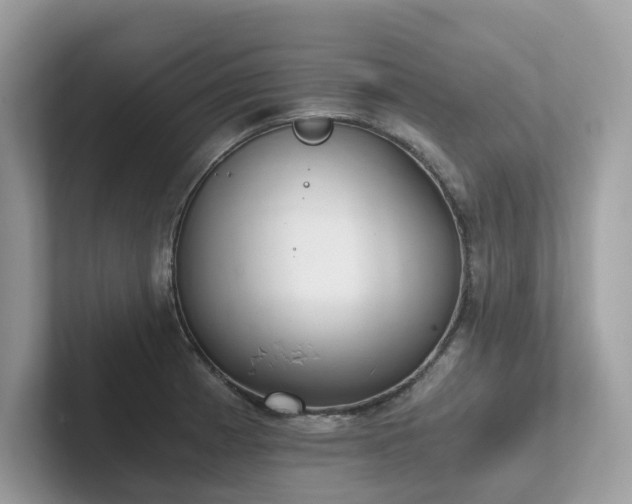 X0000102301185200807251429