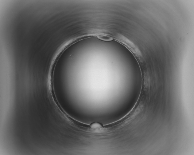 X0000102301188200807251429