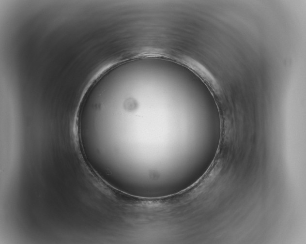 X0000102301190200807251429