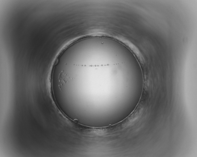 X0000102301191200807251429