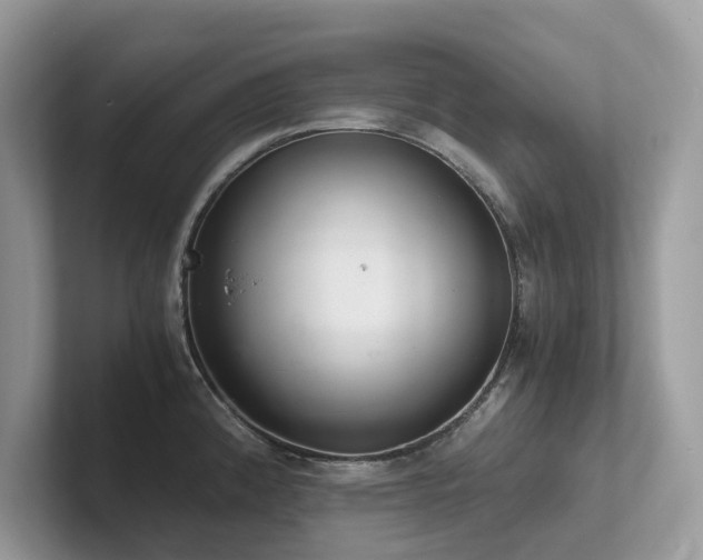 X0000102301192200807251429