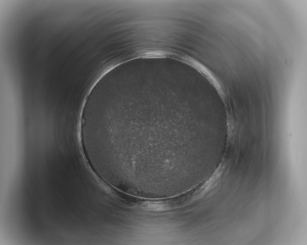 X0000102301194200807251429