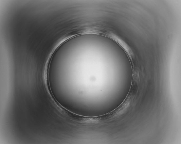 X0000102301195200807251429