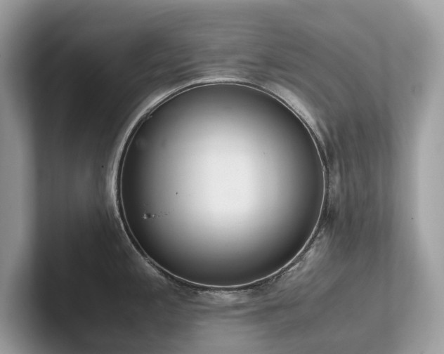 X0000102301197200807251429