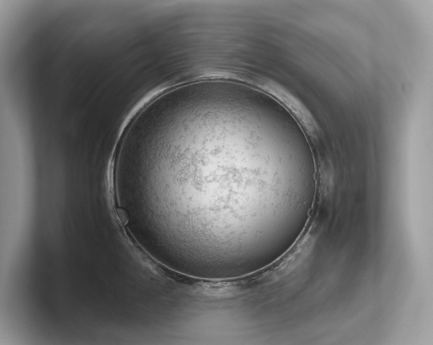 X0000102301198200807251429