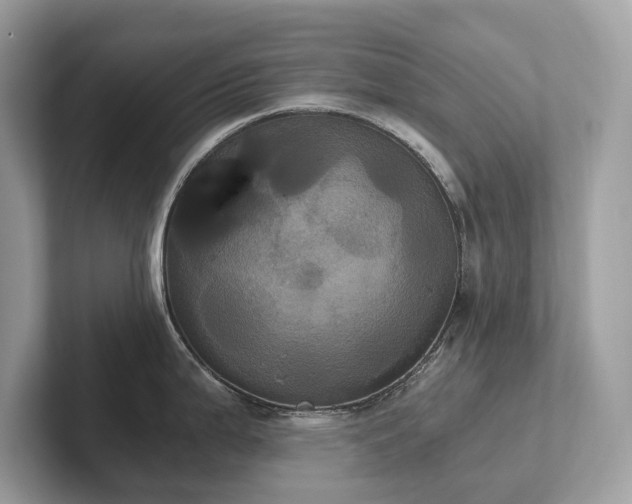 X0000102301199200807251429