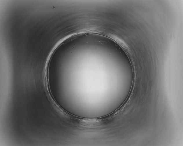 X0000102301200200807251429