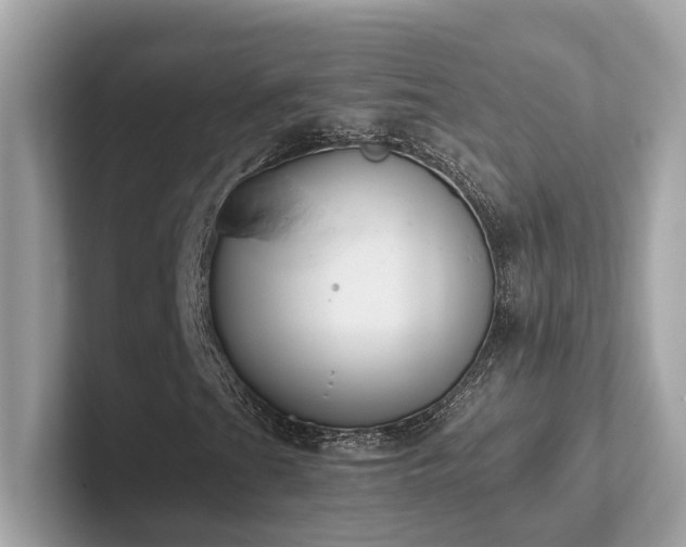 X0000102301201200807251428