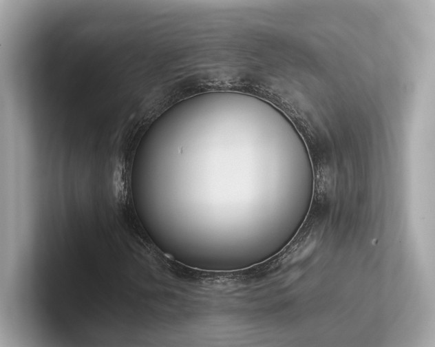 X0000102301202200807251428