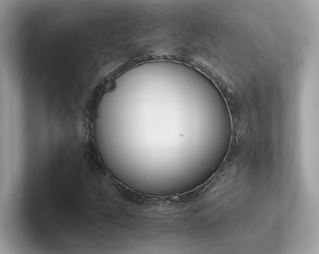 X0000102301207200807251428