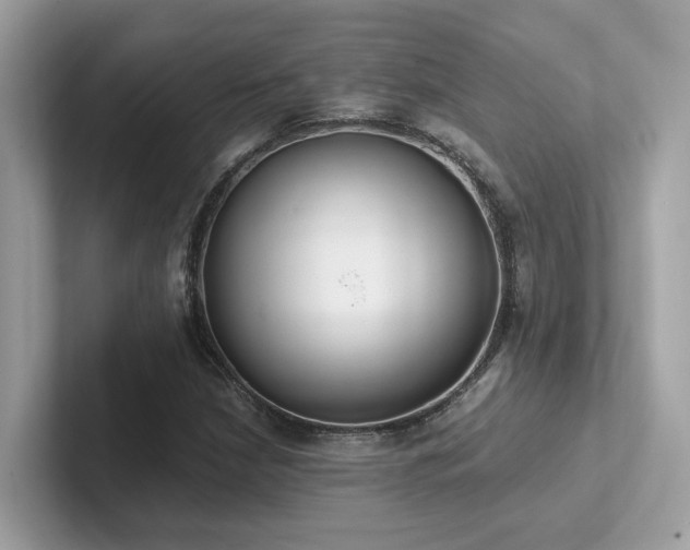 X0000102301210200807251428